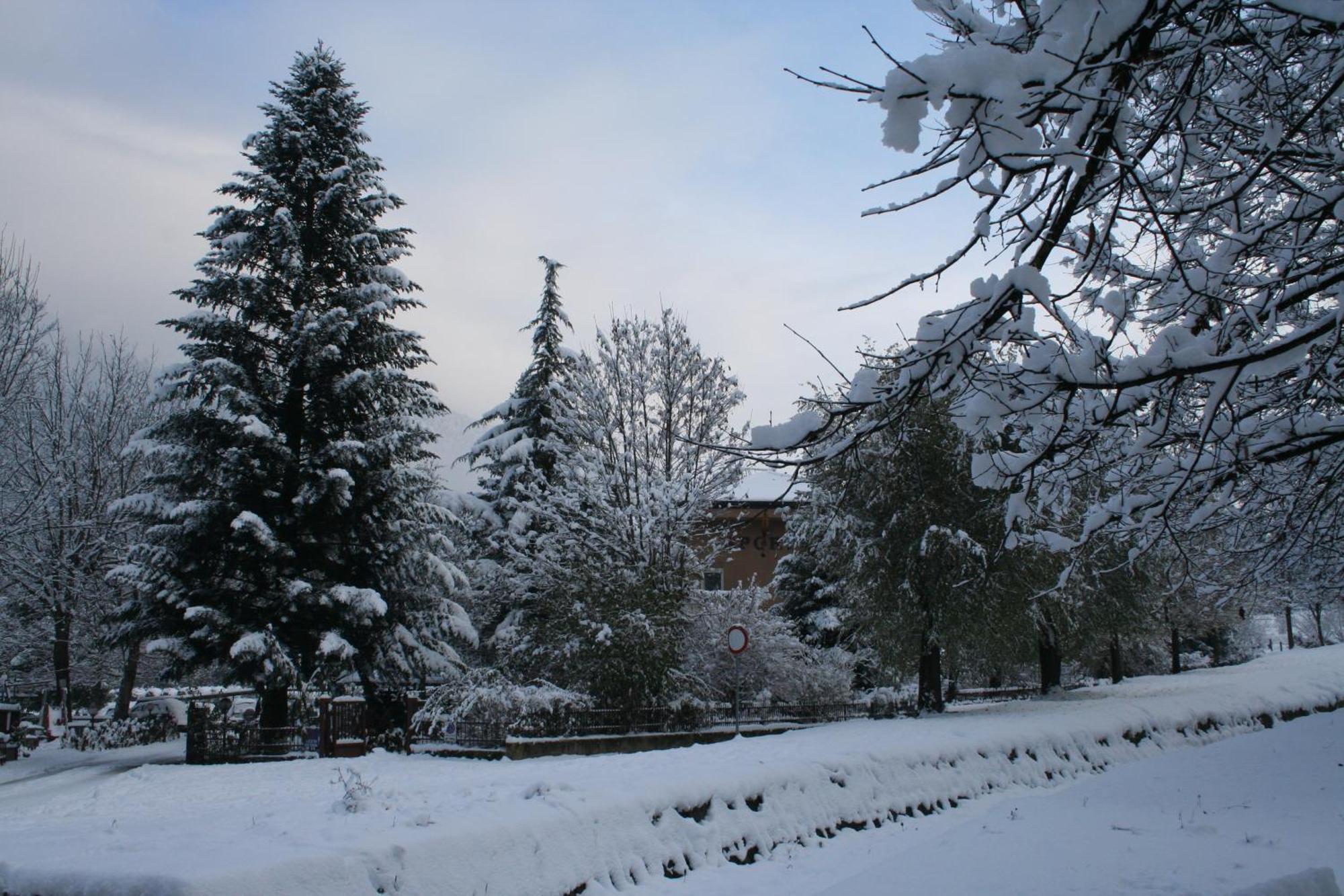 Garden House - Hotel Sport Levico Terme Extérieur photo